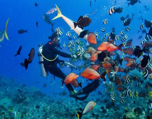 How to Plan your Itinerary with a Dive Center in Nusa Lembongan Island Dive Center in Nusa Lembongan Island