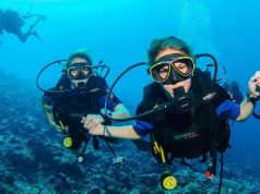 How to Arrange Your Trip with a Diving Center on Sal Island, Cabo Verde? Diving Center on Sal Island