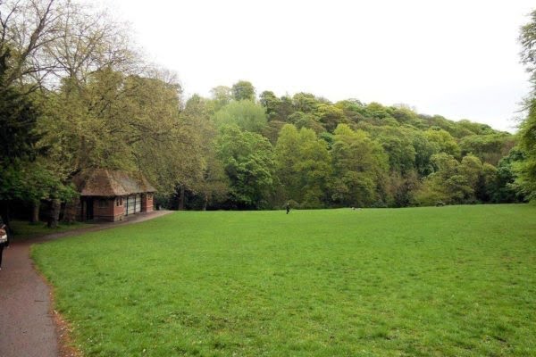 Jesmond Dene