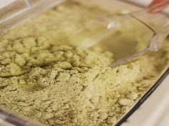 7 Methods To Consume Gold Bali Kratom While Traveling Consume Gold Bali Kratom While Traveling