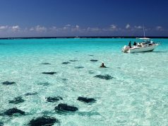 Top Things that You Must Do in Stingray City, Grand Cayman Top Things to Do in Stingray City