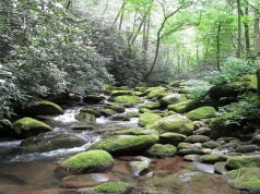 8 Reasons You Should Plan A Weekend In The Smoky Mountains Smoky Mountains