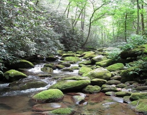 8 Reasons You Should Plan A Weekend In The Smoky Mountains Smoky Mountains