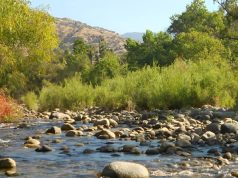 20 Best Things to Do in Three Rivers, CA Best Things to Do in Three Rivers CA
