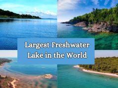 15 Largest Freshwater Lake in the World in 2024 Largest Freshwater Lake in the World