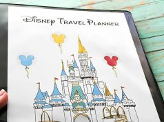 Here’s What a Professional Disney Travel Planner Does Professional Disney Travel Planner