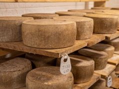 The Cheese Capitals Of The US The Cheese Capitals Of The US