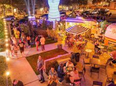 25 Completely Free Things to Do in Phoenix, Arizona Free Things to Do in Phoenix