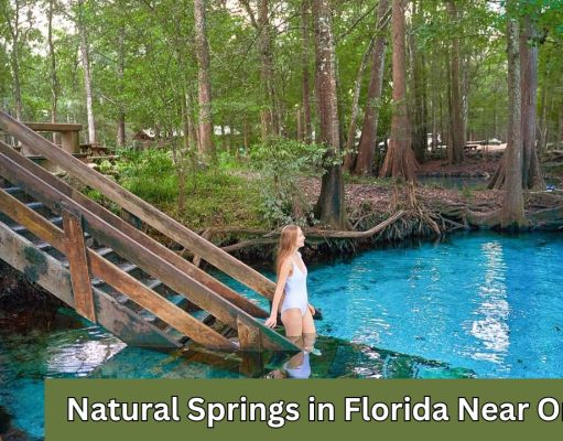 20 Best Natural Springs in Florida Near Orlando
