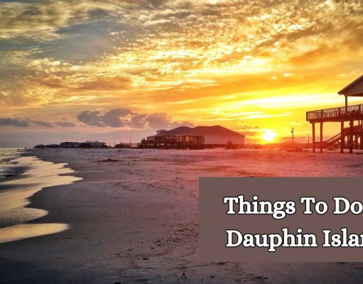 The 25 Amazing Things To Do in Dauphin Island Things To Do in Dauphin Island