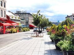 A Scenic Journey to Remember: The Train to Quebec City Train to Quebec City