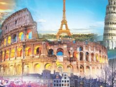 MBS 87 – The Top Choice for Bus Rental in Europe company today Bus Rental in Europe