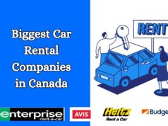 8 Biggest Car Rental Companies in Canada in 2024 Biggest Car Rental Companies in Canada