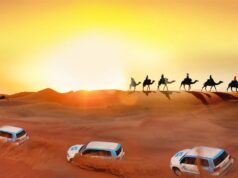 Thrills in the Dunes: An Insider’s Guide to Dubai’s Desert Safari Dubai's Desert Safari