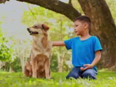 Healthy Habits for Happy Dogs: Nutrition and Exercise Tips Boys And a Dog Homemaking Homeschooling Tips