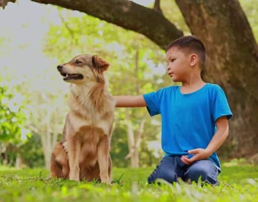 Healthy Habits for Happy Dogs: Nutrition and Exercise Tips Boys And a Dog Homemaking Homeschooling Tips