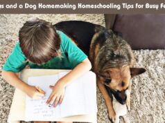Boys and a Dog Homemaking Homeschooling Tips for Busy Folks Boys and a Dog Homemaking Homeschooling Tips for Busy Folks