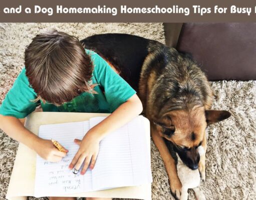 Boys and a Dog Homemaking Homeschooling Tips for Busy Folks Boys and a Dog Homemaking Homeschooling Tips for Busy Folks