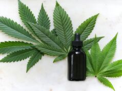 7 Essential Considerations Before Traveling with CBD Essential Considerations Before Traveling