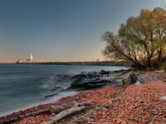 15 Best Free Things to Do in Mississauga for Budget Travelers Free Things to Do in Mississauga