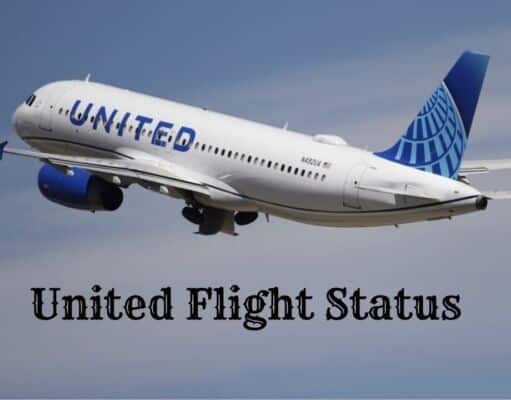 United Flight Status – Monitoring Delays, Arrivals, and Departures United Flight Status
