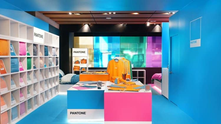 What Is Pantone