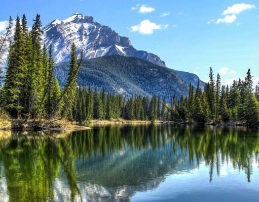 Exploring Alberta Highlights and Top Tourist Destinations Why You Should Visit Alberta