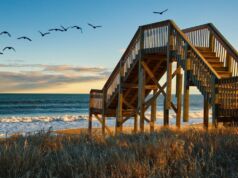 Explore The 60 Best Free Things to Do in Jacksonville in 2024 Free Things to Do in Jacksonville