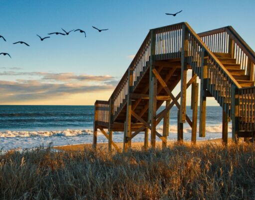 Explore The 60 Best Free Things to Do in Jacksonville in 2024 Free Things to Do in Jacksonville