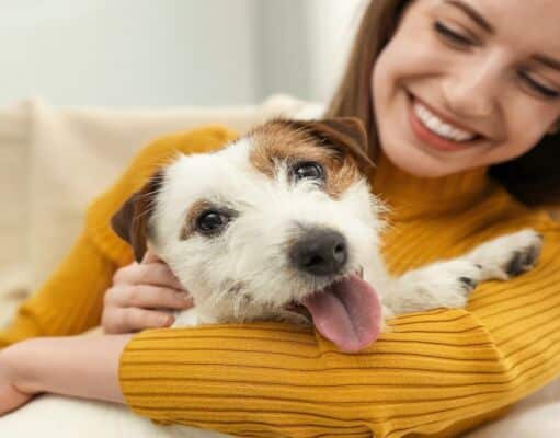 How to Avoid Pet Fees at Hotels? 5 Best Tips and Tricks How to Avoid Pet Fees at Hotels