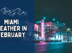 Miami Weather in February – What to Expect During Your Winter Getaway? Miami Weather in February