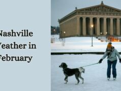 Nashville Weather in February 2024 – Midwinter Climate Insights Nashville Weather in February
