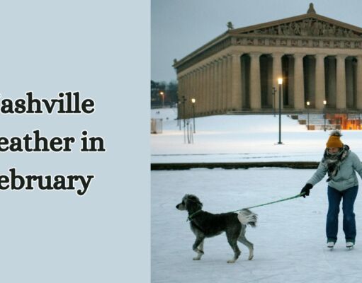 Nashville Weather in February 2024 – Midwinter Climate Insights Nashville Weather in February