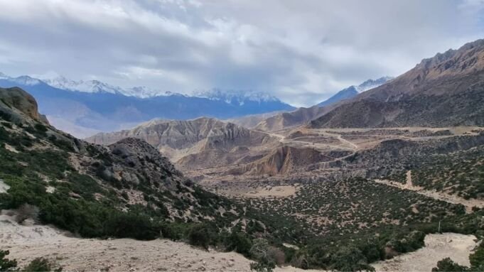 The Magical Upper Mustang