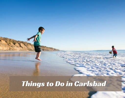 Discover The Best 40 Things to Do in Carlsbad in 2024 Things to Do in Carlsbad