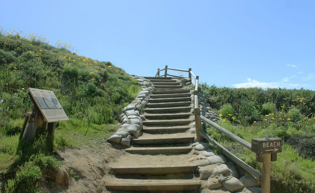 Best Time to Visit Torrey Pines State Beach Trail