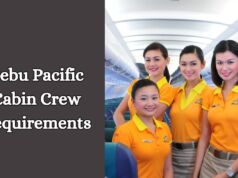 Cebu Pacific Cabin Crew Requirements for 2024 Cebu Pacific Cabin Crew Requirements
