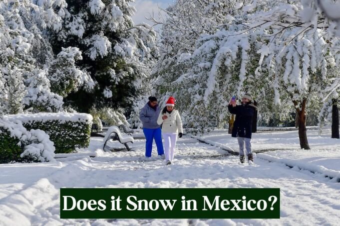 Does it Snow in Mexico