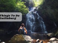 The 18 Best Free Things To Do in Gatlinburg in 2024 Free Things To Do in Gatlinburg
