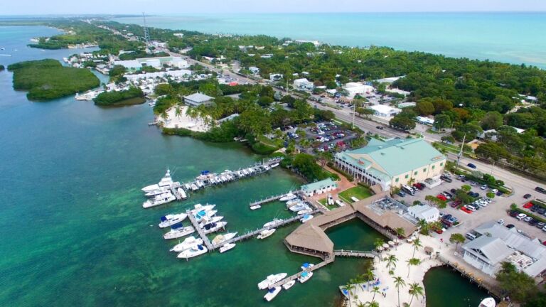 Free Things to Do in Orlando: Top 80 Must-Visit Attractions