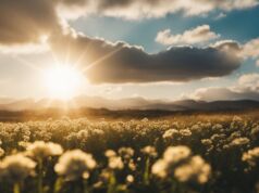 Hawaii Weather in March 2024 – Where Spring Finds Its Paradise Hawaii Weather in March