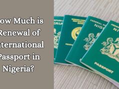 How Much is Renewal of International Passport in Nigeria? How Much is Renewal of International Passport in Nigeria