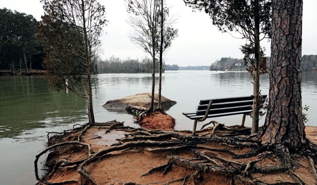 Latta Plantation Nature Preserve