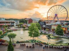 Must-See Shows and Entertainment in Pigeon Forge Must-See Shows and Entertainment in Pigeon Forge