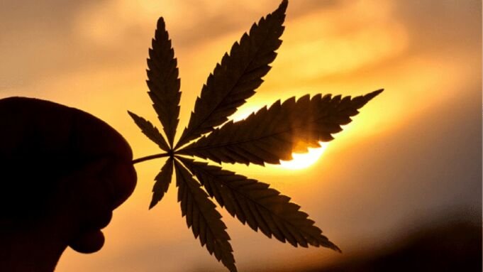 The World's Top Cannabis-Friendly Destinations