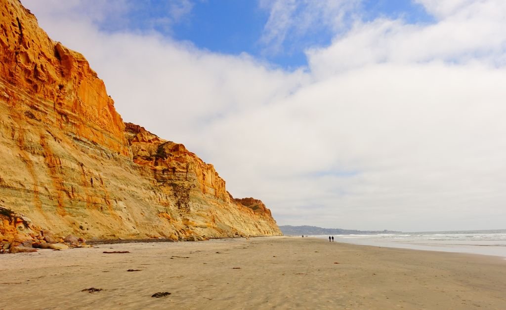 Things You Need to Know About Visit Torrey Pines Beach Trail