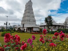 Tirupati Balaji Darshan – History, Spiritual Significance, and Booking Tips Tirupati Balaji