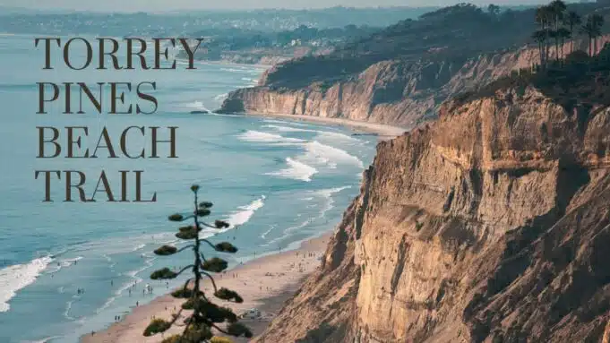 Torrey Pines Beach Trail