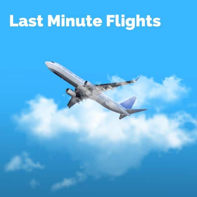 Understanding Last-Minute Flights