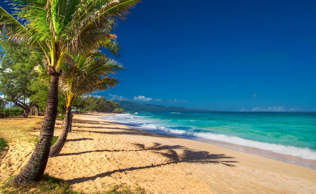 Walk North Beach Park